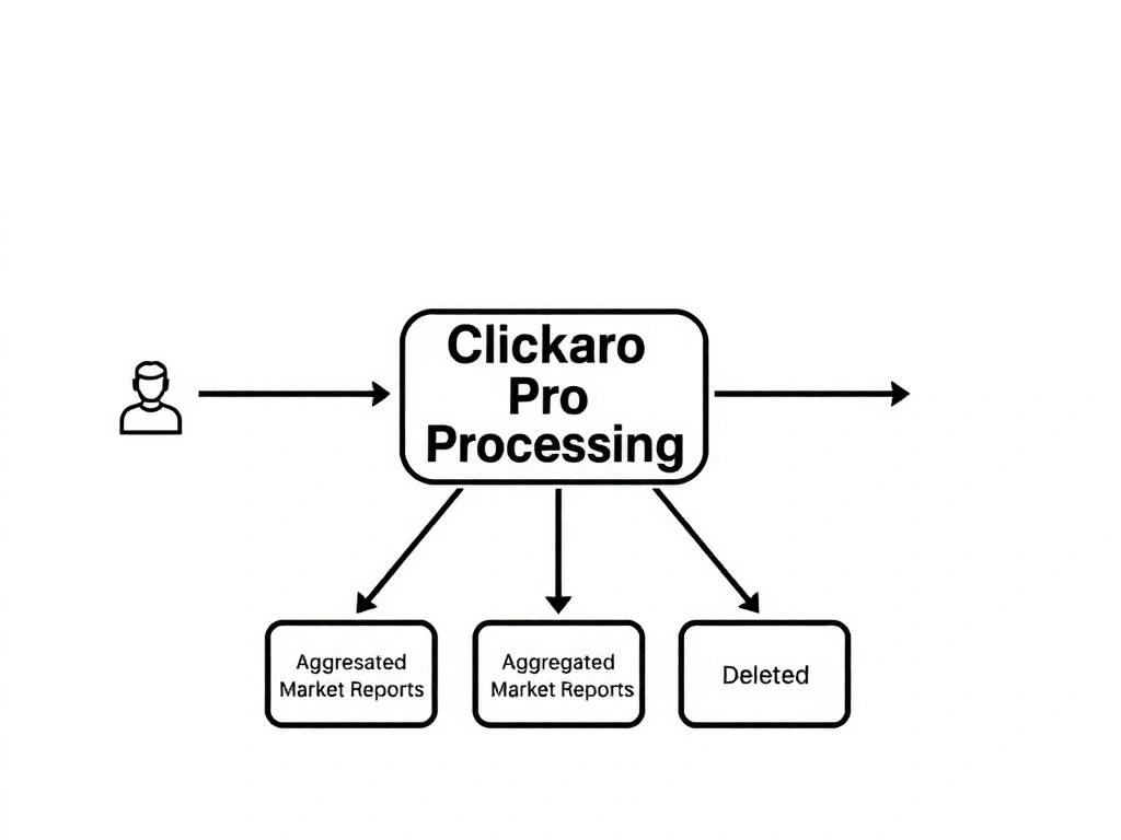 Diagram showing data flow from user to Clickaro Pro to final outputs